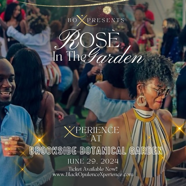 Rose in The Garden